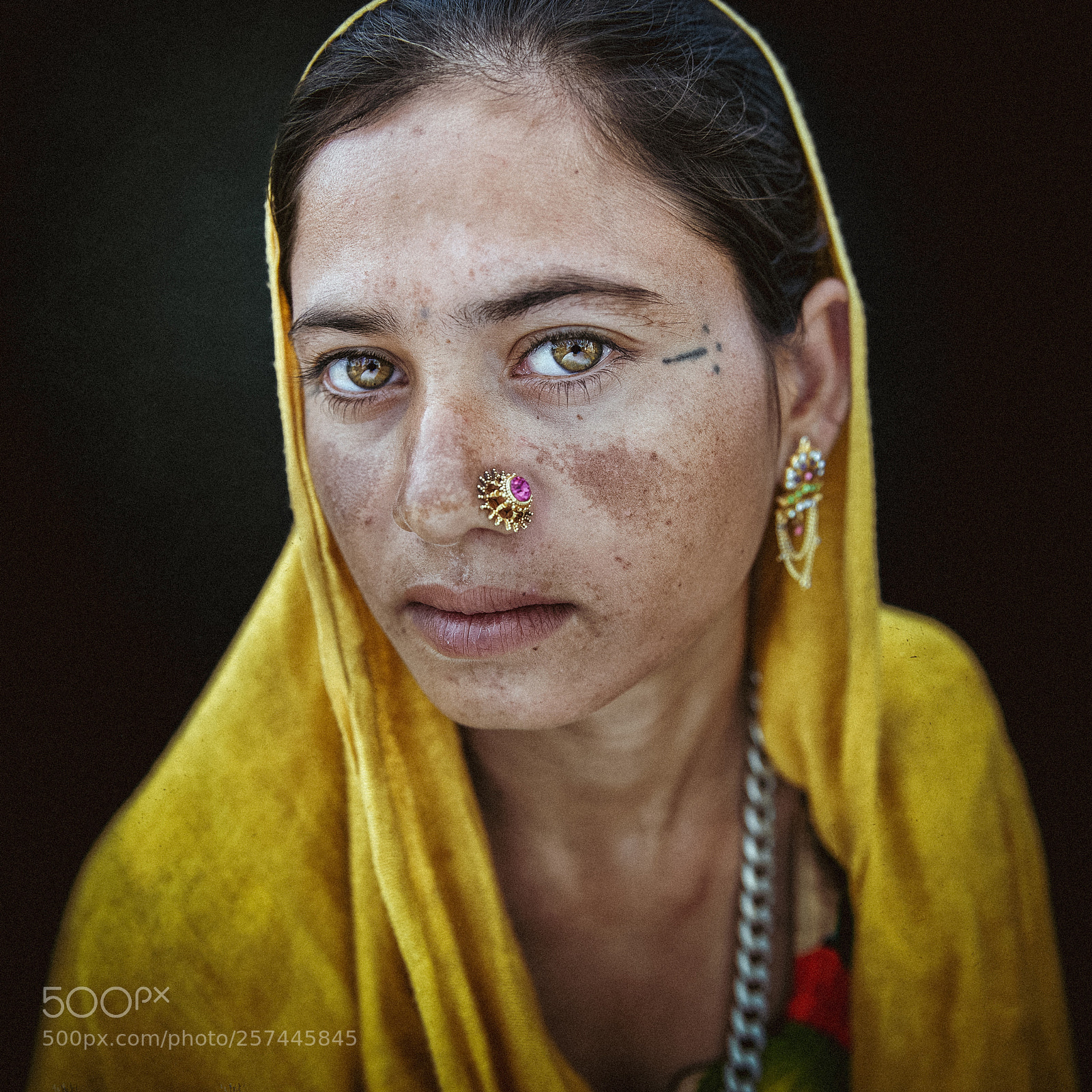 Canon EOS 6D sample photo. Indian mona lisa photography