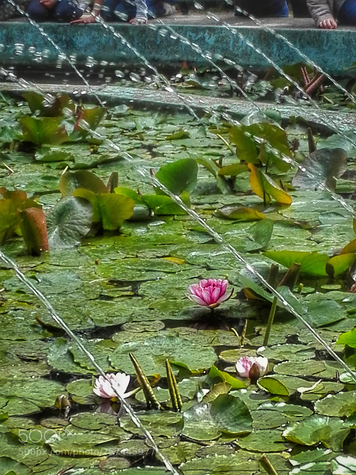 HUAWEI P8 Lite sample photo. Untitled photography
