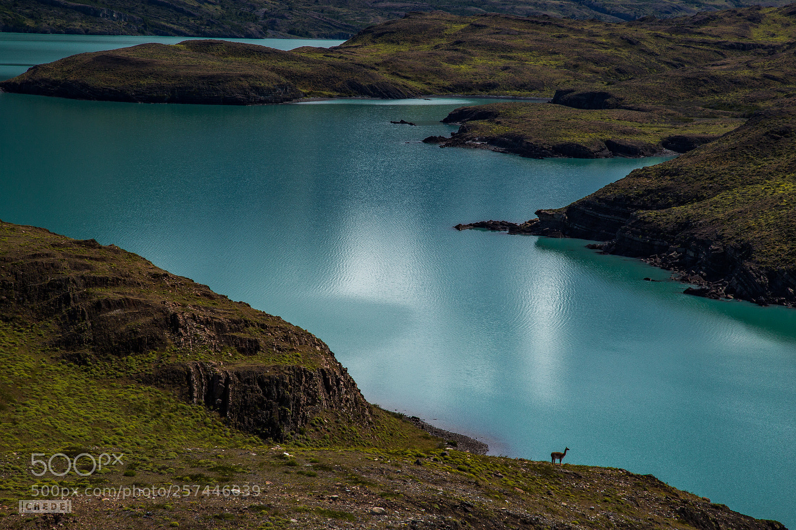 Canon EOS 6D sample photo. Pristine wilderness - torres photography