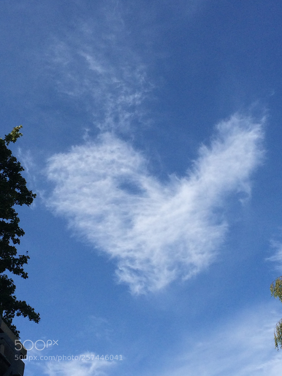 Apple iPhone 5s sample photo. Wolkenherz photography