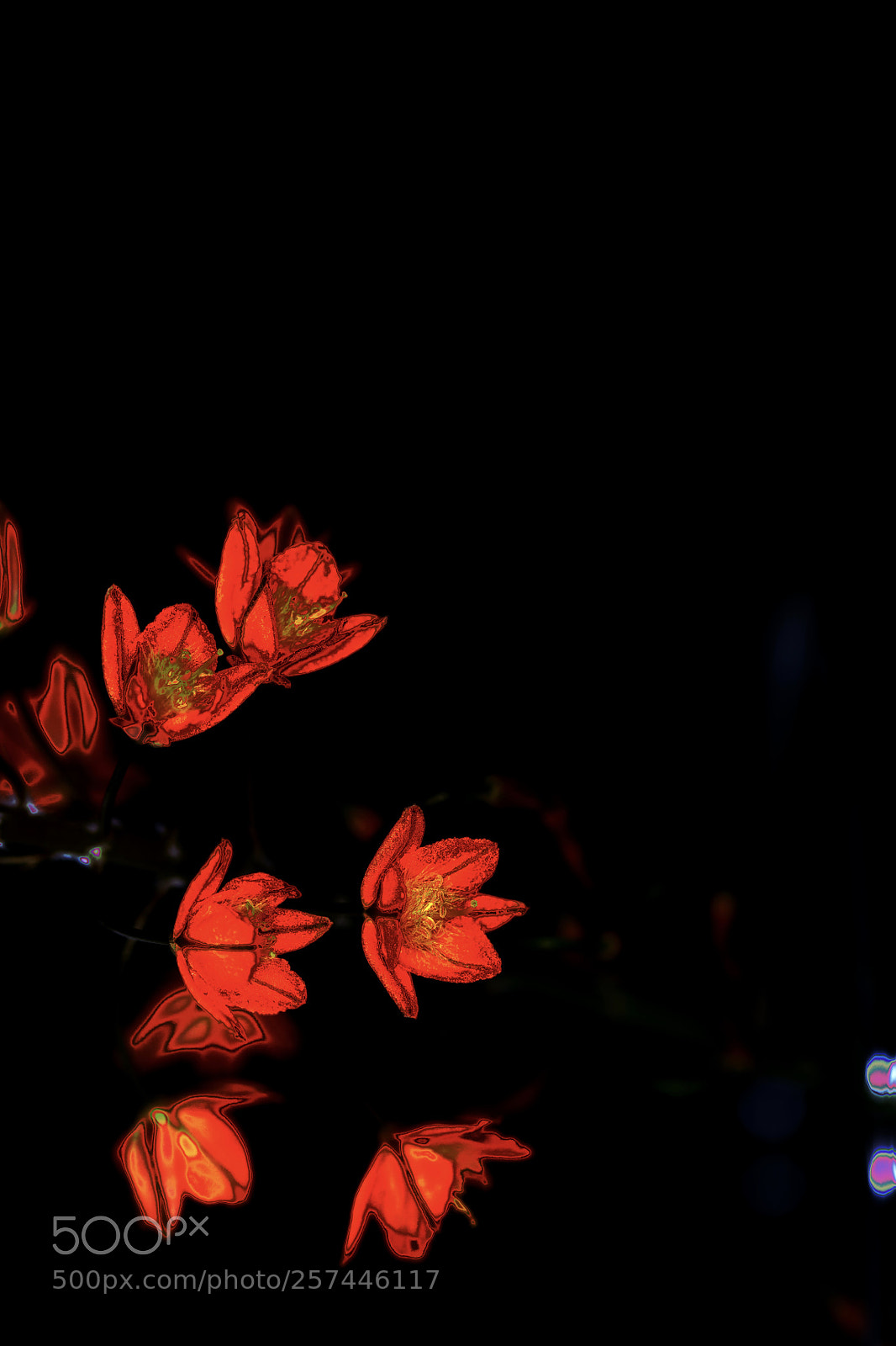 Canon EOS 5DS R sample photo. Colores de mexico photography