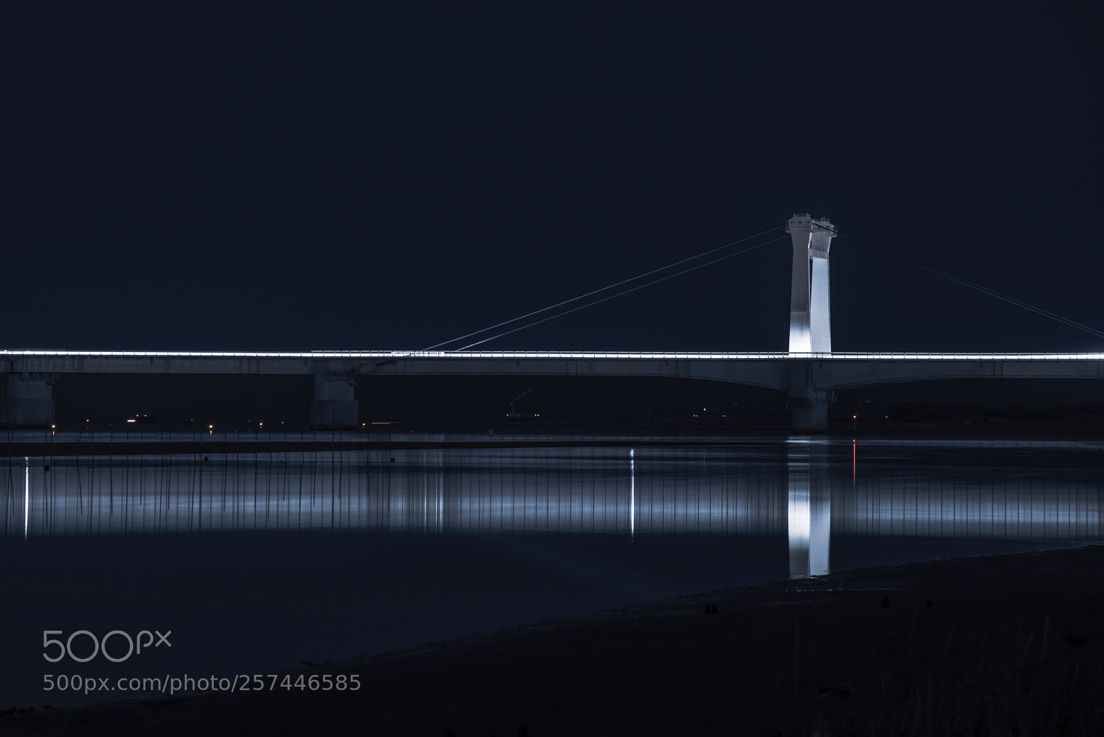Nikon D750 sample photo. Night brige photography