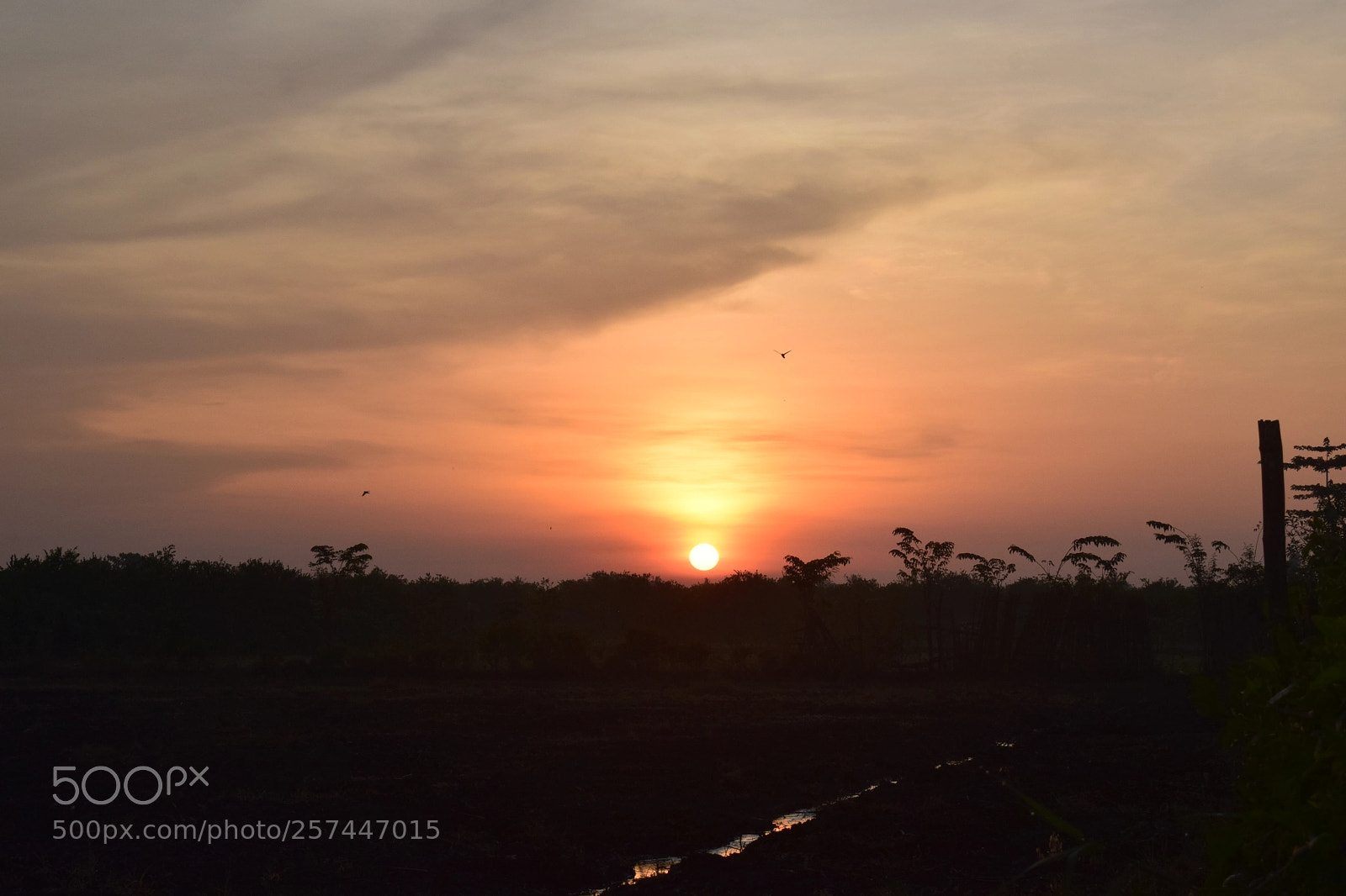 Nikon D3300 sample photo. Untitled photography