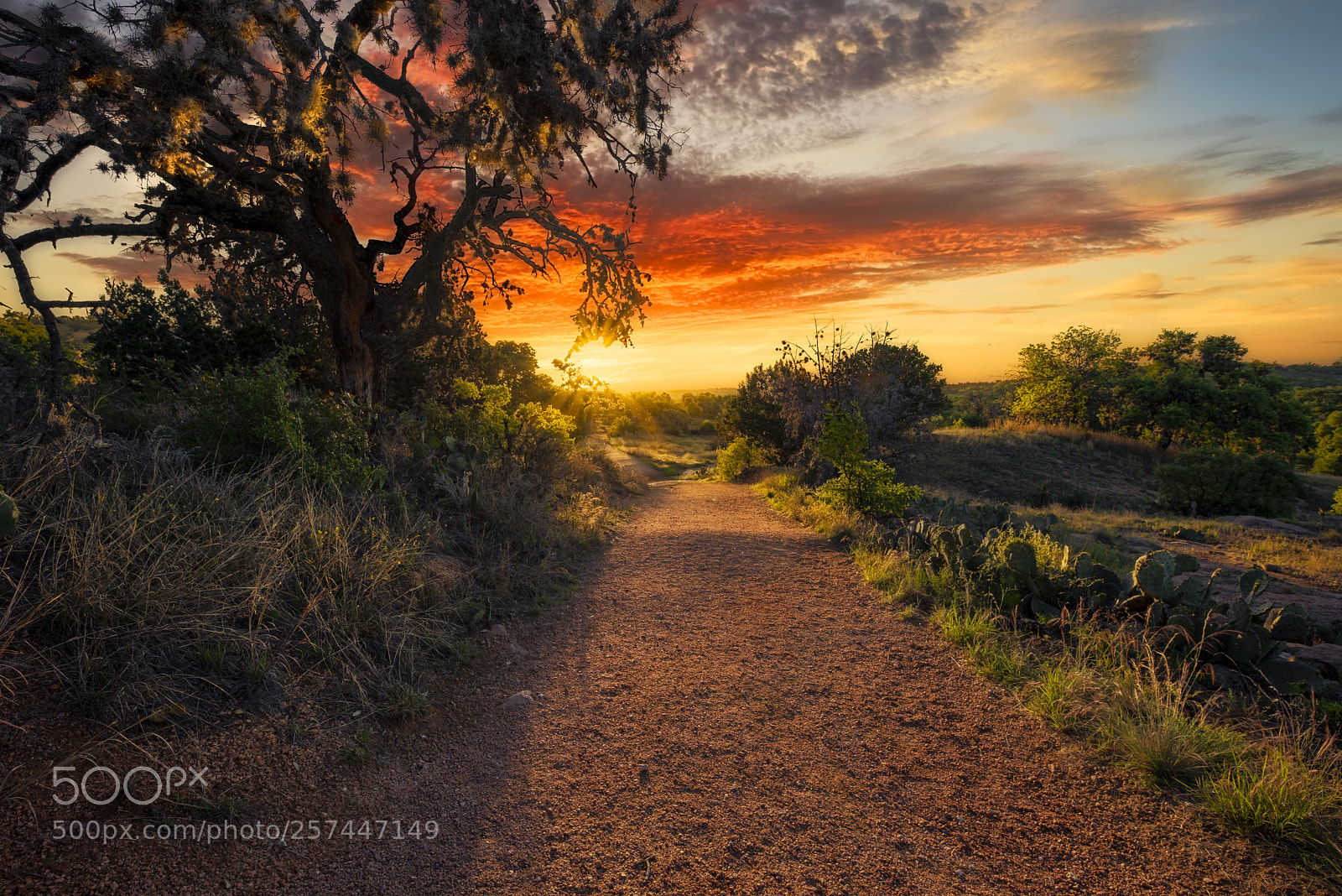 Nikon D750 sample photo. Sunrise on enchanted rock photography