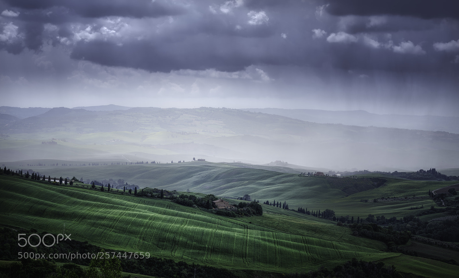 Fujifilm GFX 50S sample photo. Field near pienza photography