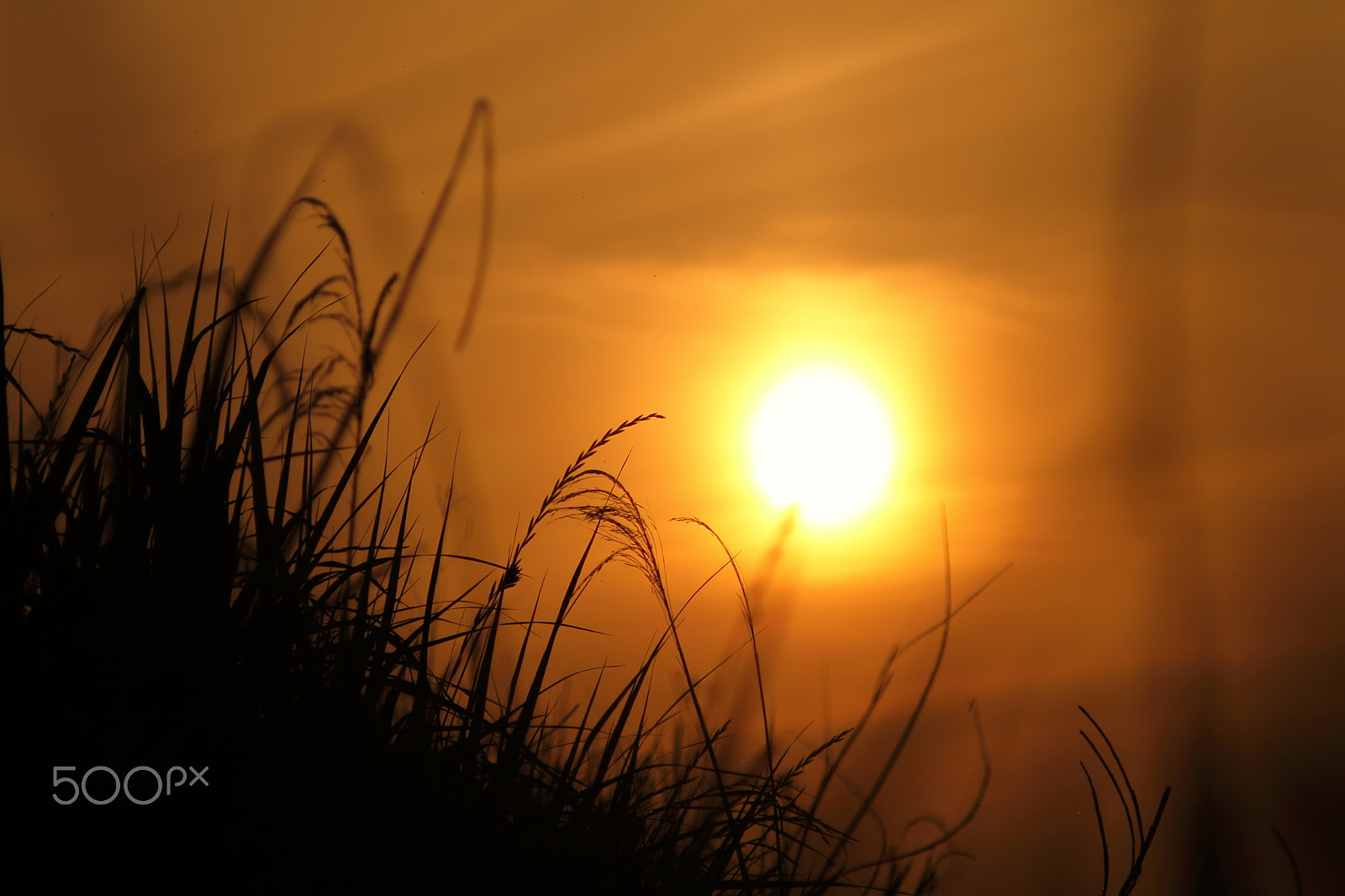 Canon EOS 7D + Canon EF 50mm F1.8 II sample photo. Sunset photography
