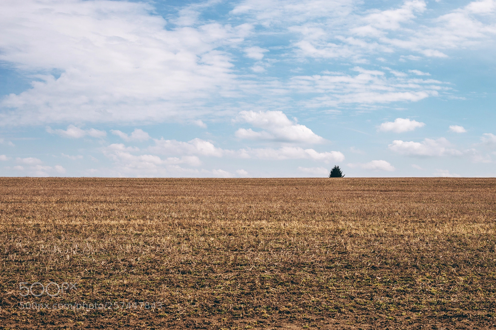 Canon EOS 6D sample photo. Untitled photography