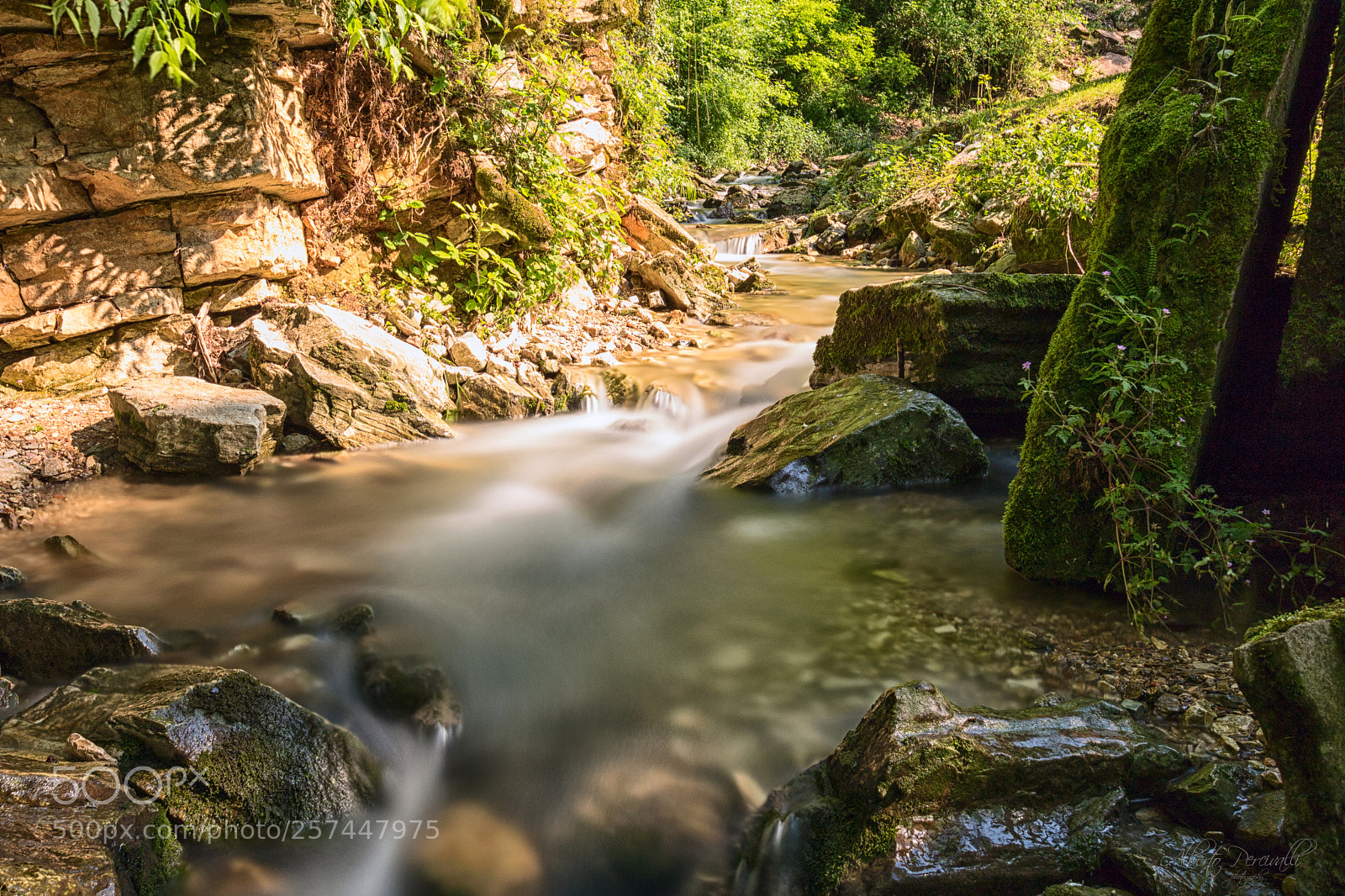 Canon EOS 750D (EOS Rebel T6i / EOS Kiss X8i) sample photo. Calm creek photography