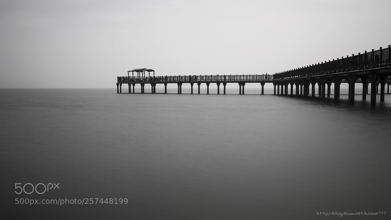Canon EOS 5D Mark IV sample photo. Untitled photography