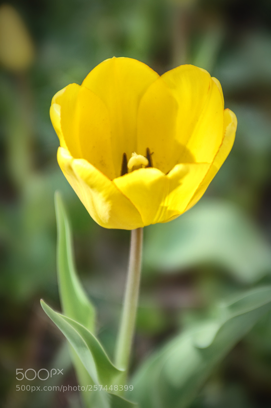 Nikon D90 sample photo. ... photography