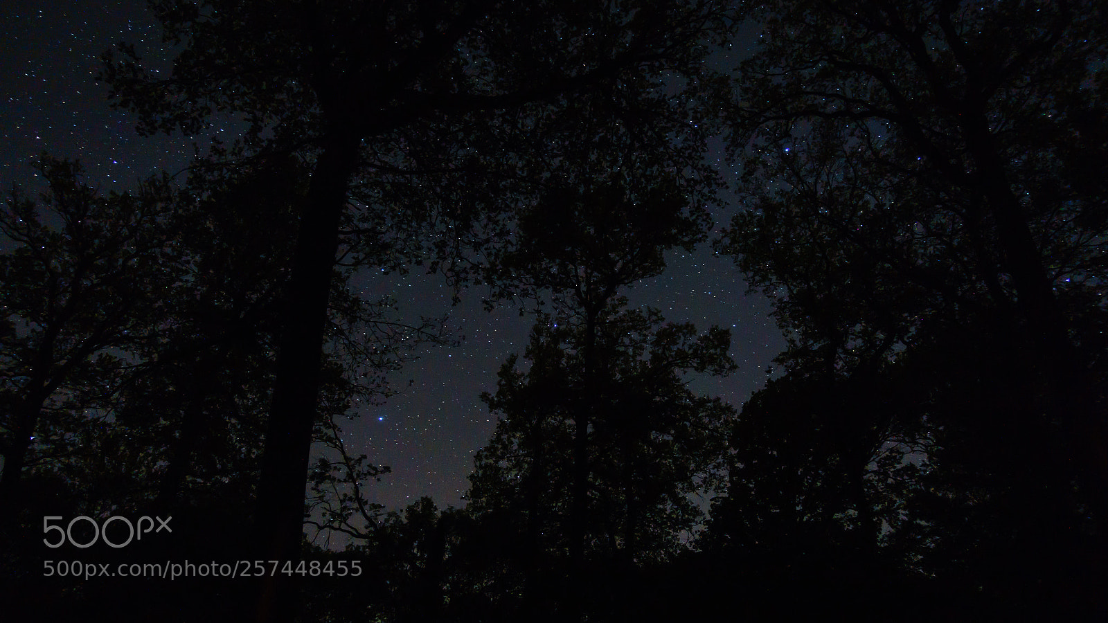 Sony Cyber-shot DSC-RX100 III sample photo. A night in the photography