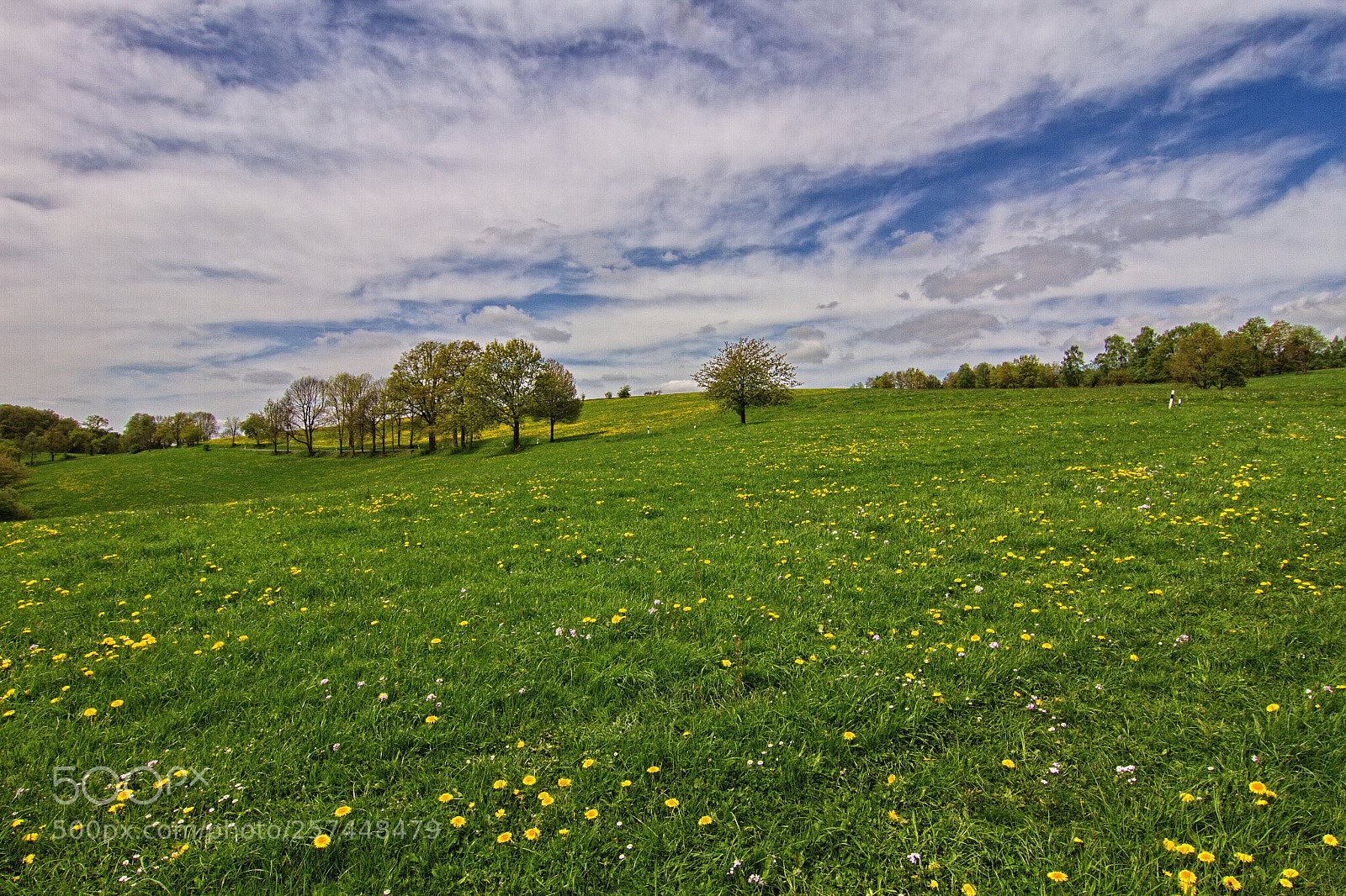 Canon EOS 7D sample photo. Springtime iii photography