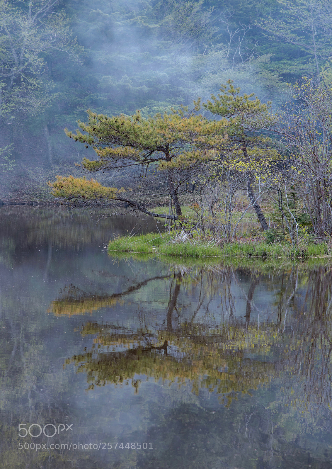 Nikon D750 sample photo. Smoke on the water photography