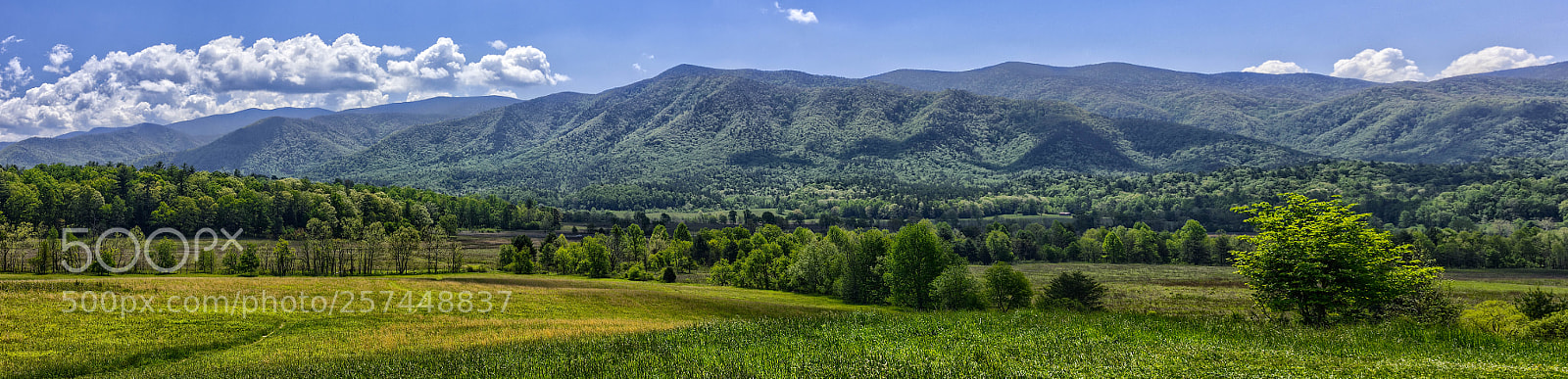Canon EOS 600D (Rebel EOS T3i / EOS Kiss X5) sample photo. Cades cove photography
