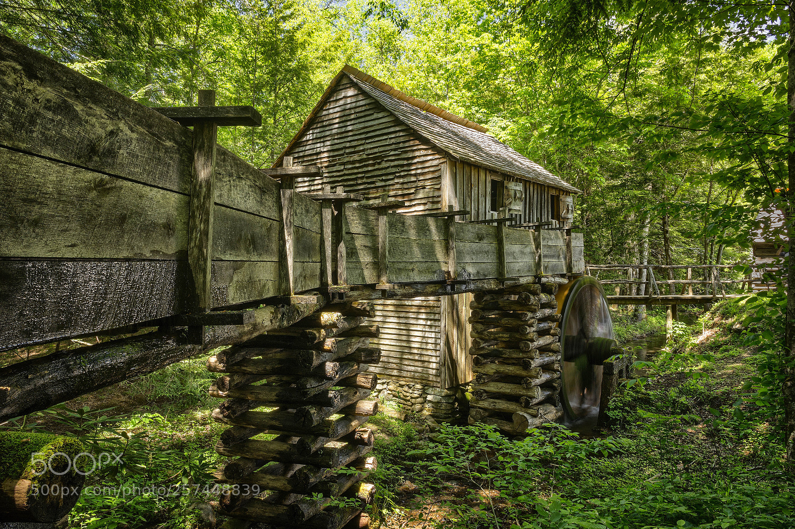 Canon EOS 600D (Rebel EOS T3i / EOS Kiss X5) sample photo. John cable mill photography