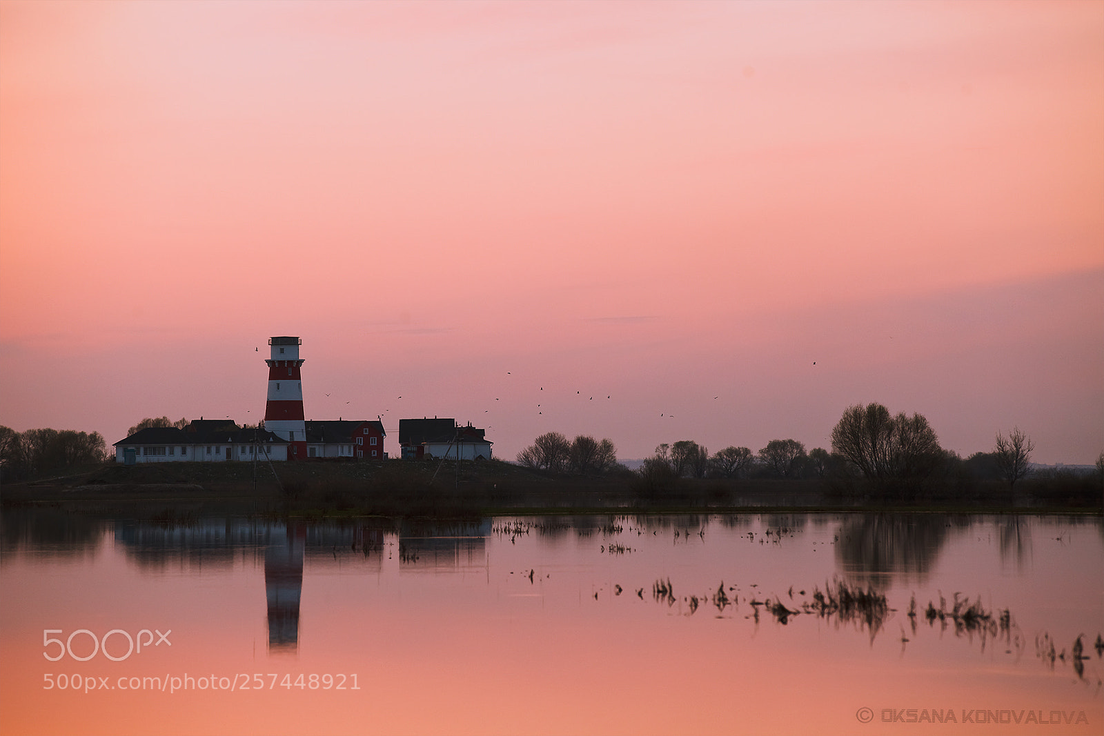 Canon EOS 5D Mark II sample photo. High water photography