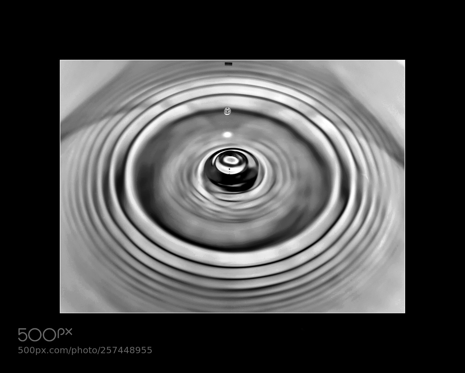 Nikon D5000 sample photo. Rings photography