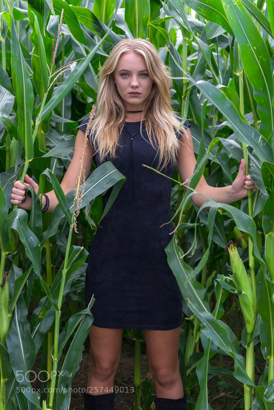 Nikon D600 sample photo. Caylee photography
