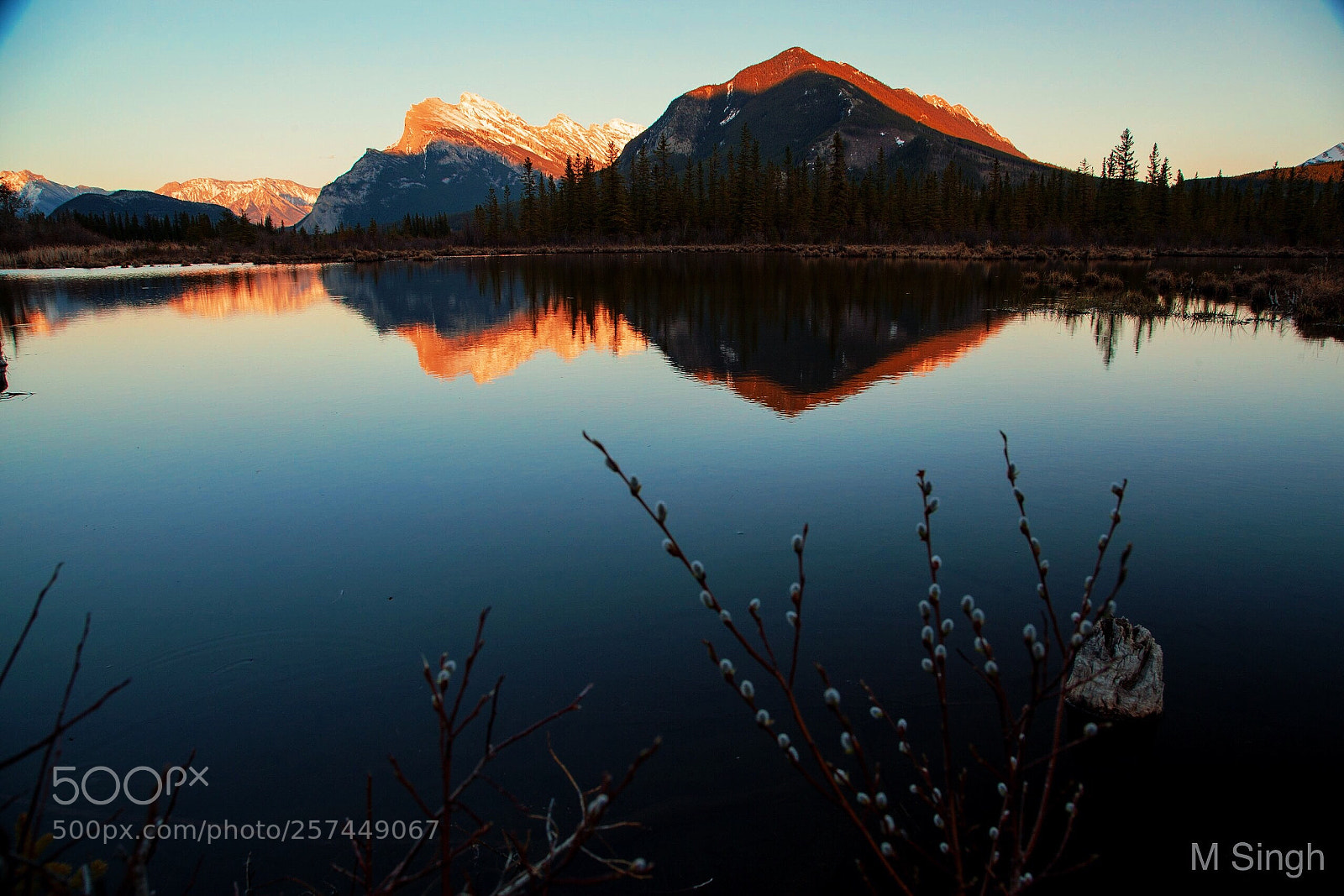 Canon EOS 5D Mark II sample photo. Sunlit  photography