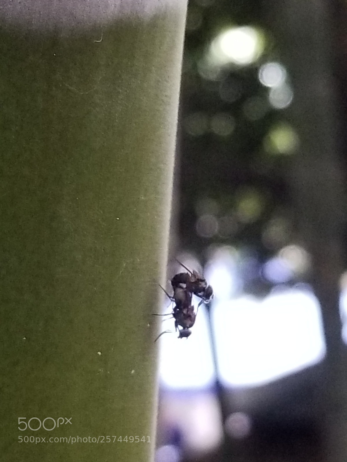 Samsung Galaxy S8 sample photo. Untitled photography