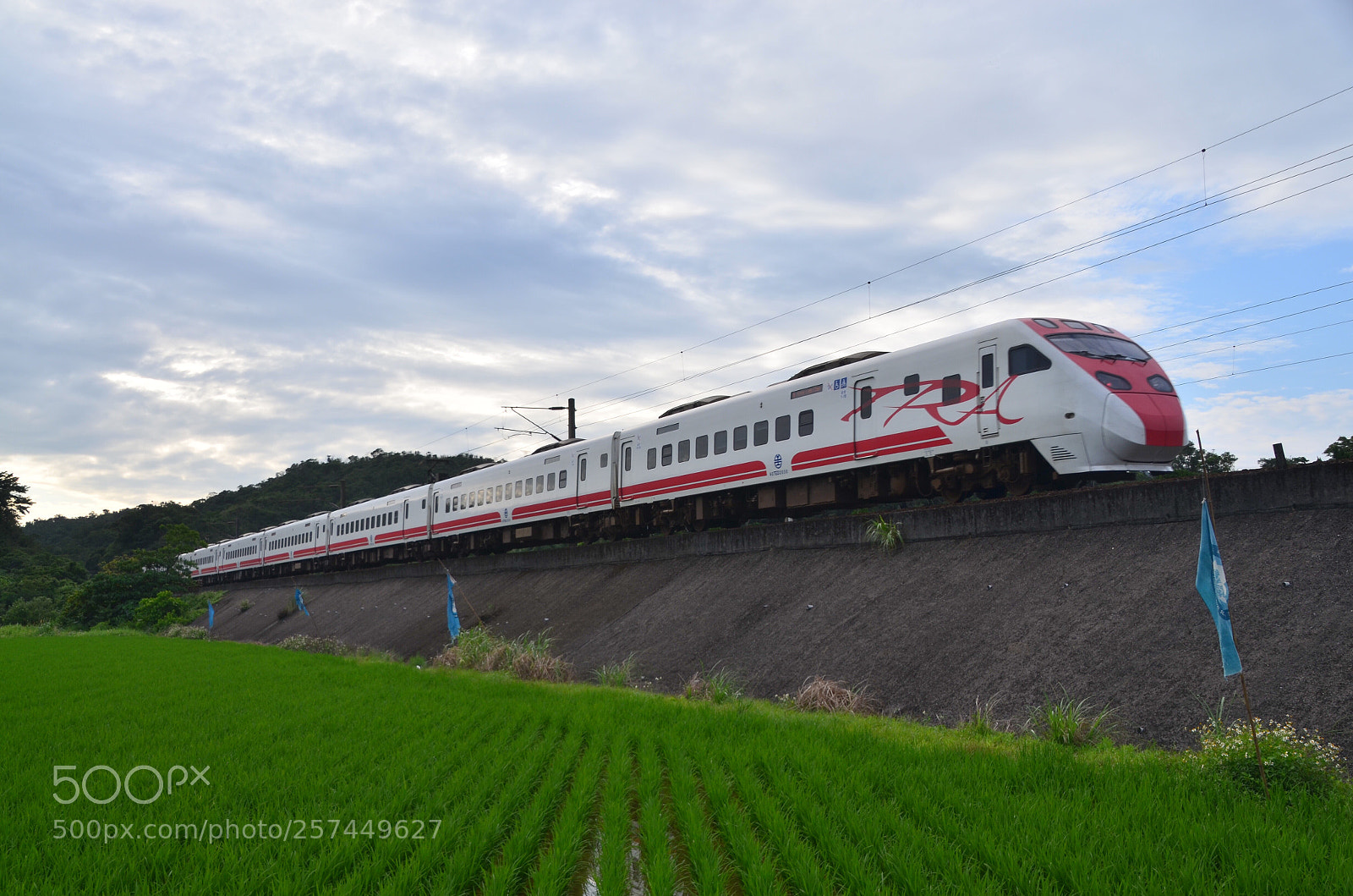Nikon D5100 sample photo. The train photography