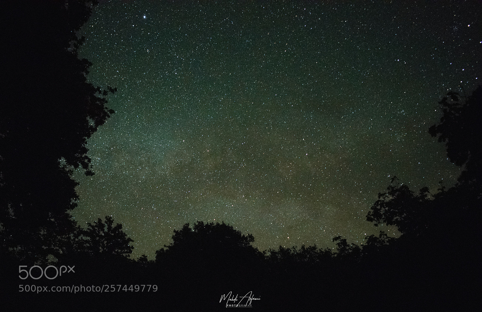 Nikon D3300 sample photo. Star gazing photography