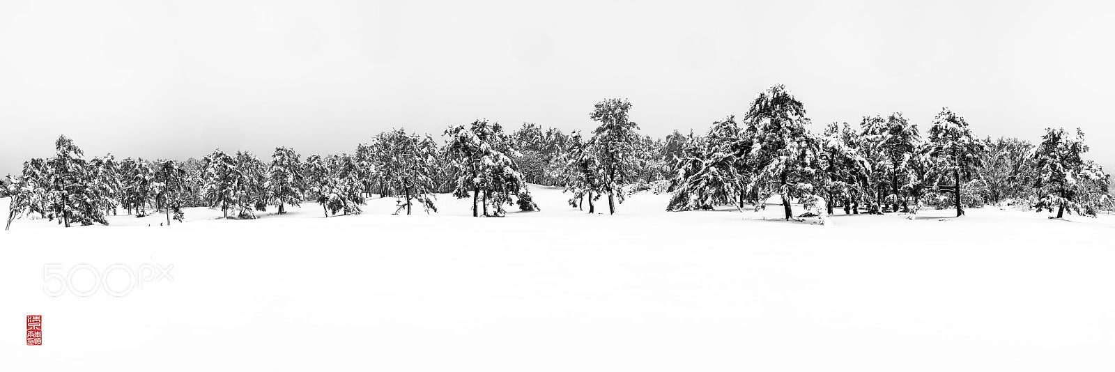 Sony a7R II sample photo. Winter photography