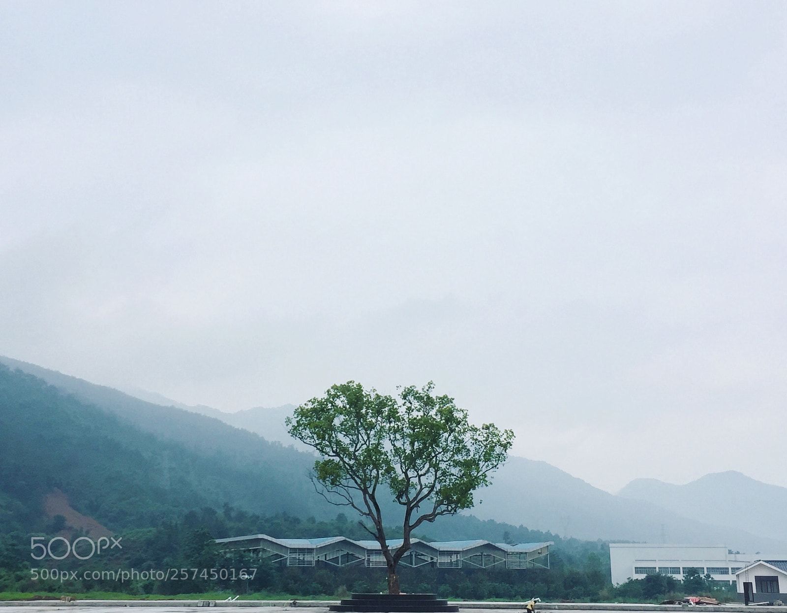 Apple iPhone 6 sample photo. Untitled photography