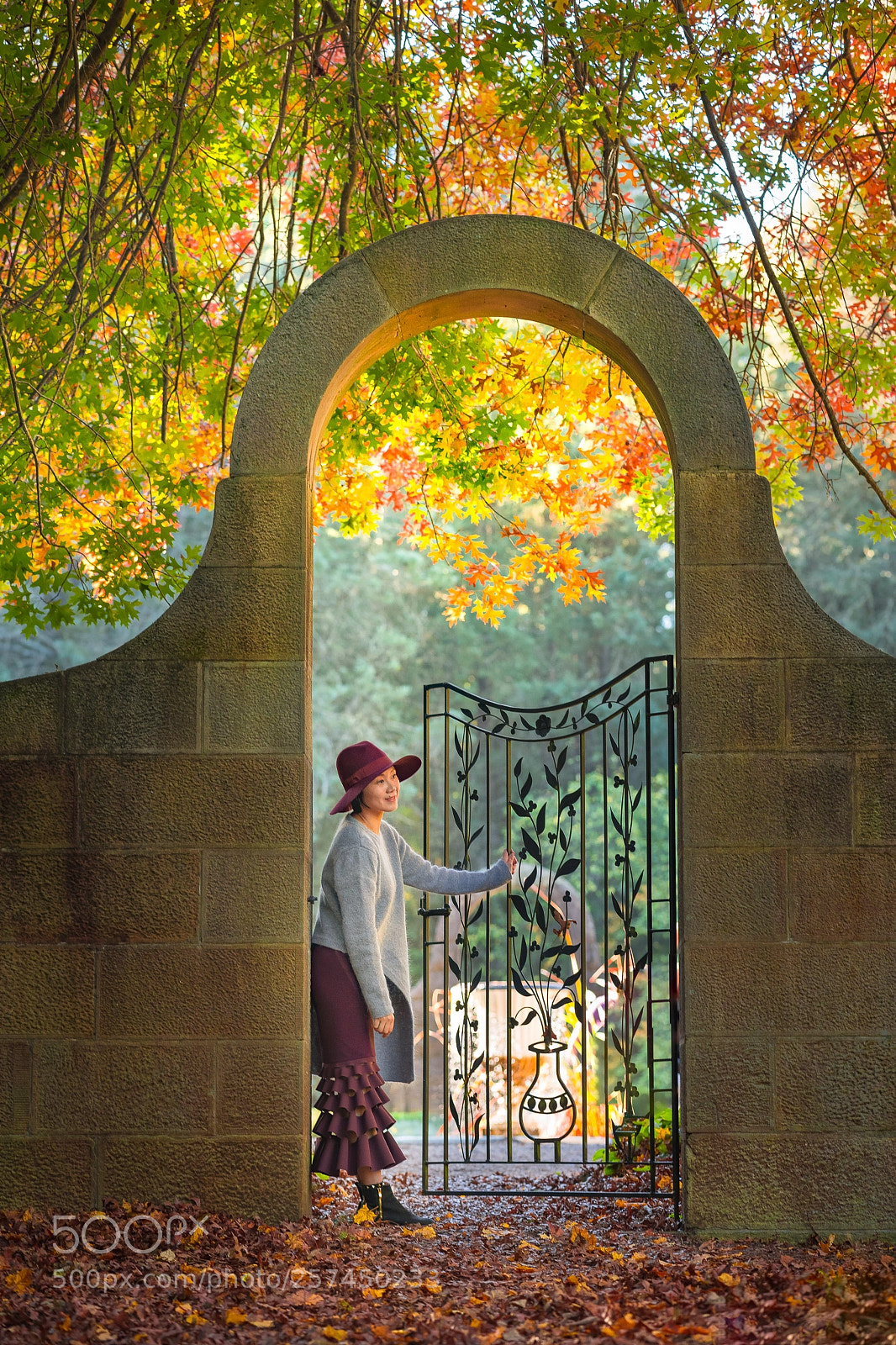 Nikon D850 sample photo. Autumn arch photography