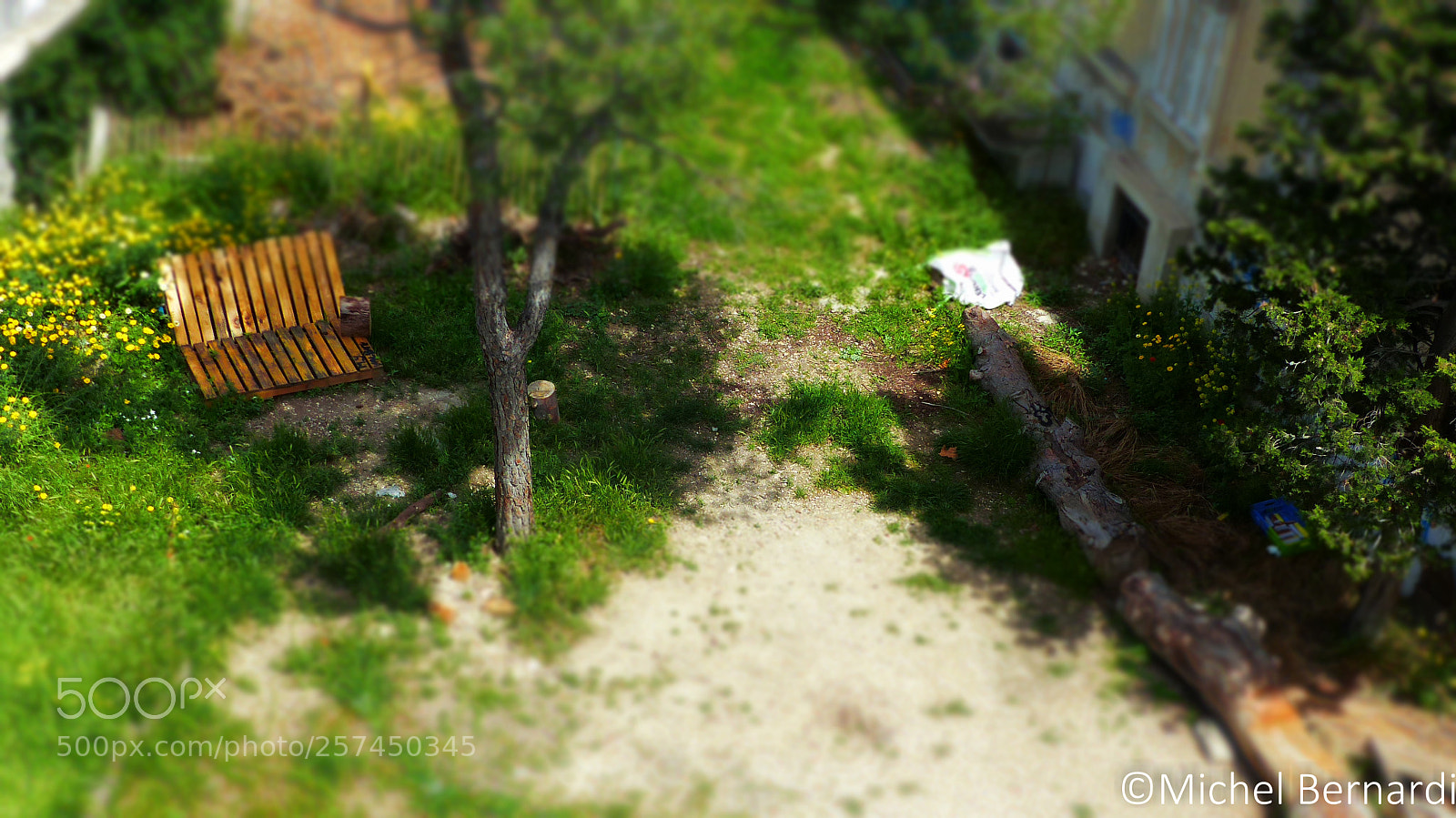 Panasonic Lumix DMC-FZ200 sample photo. P photography