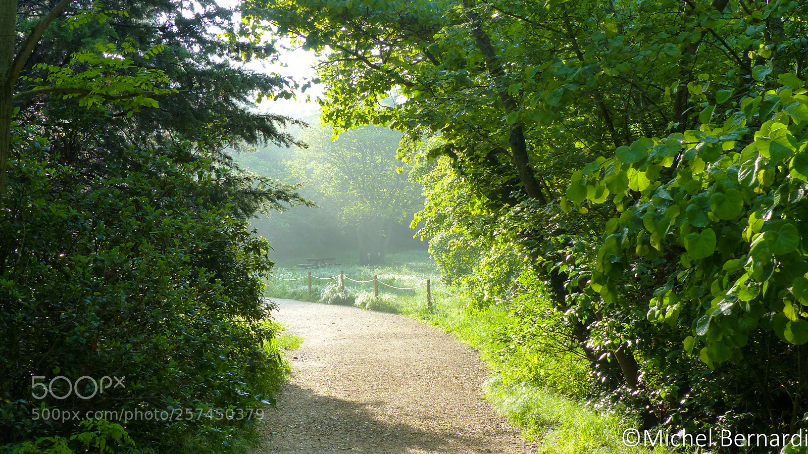 Panasonic Lumix DMC-FZ200 sample photo. P photography