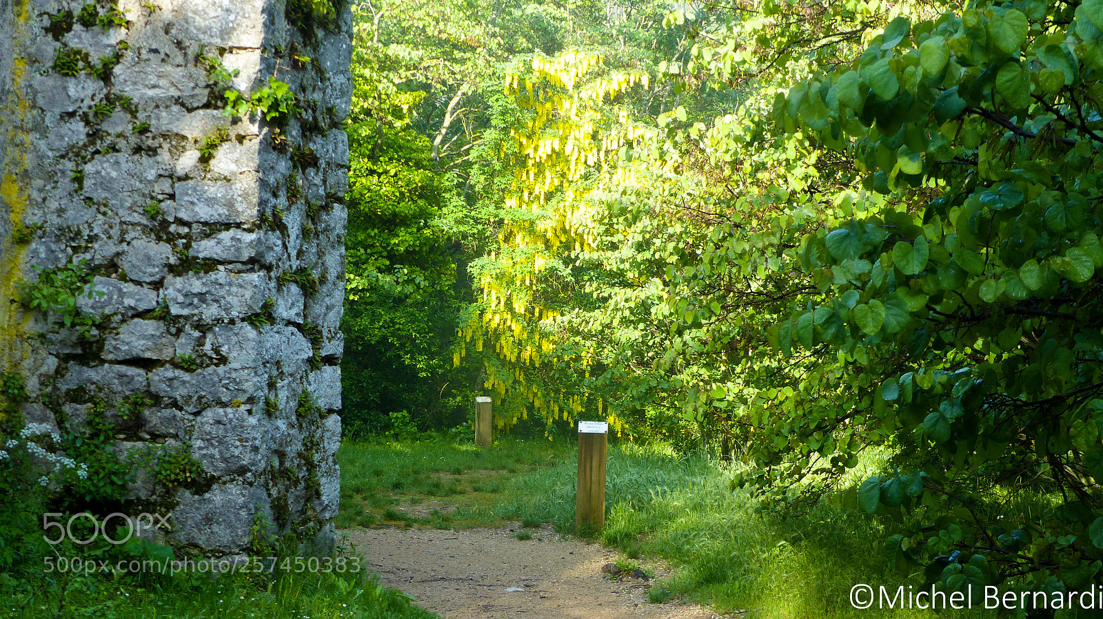 Panasonic Lumix DMC-FZ200 sample photo. P photography