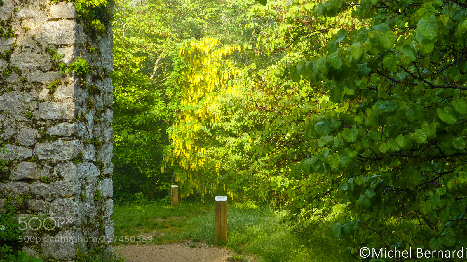 Panasonic Lumix DMC-FZ200 sample photo. P photography