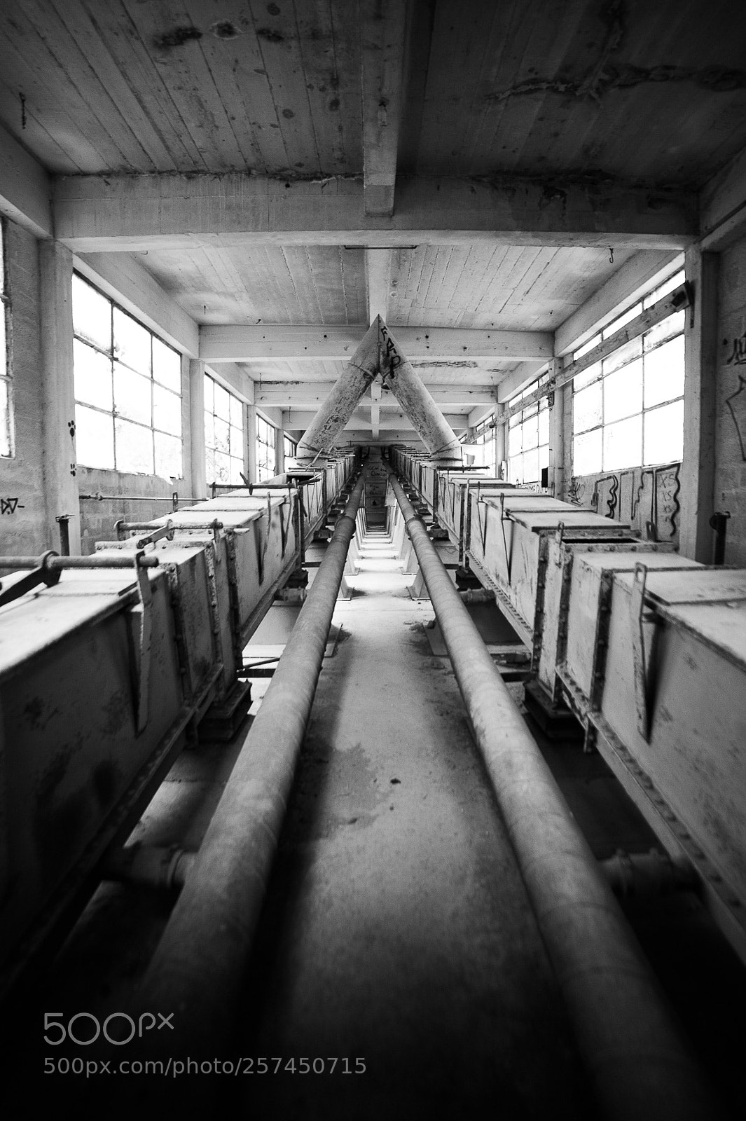 Nikon D4S sample photo. The lines photography