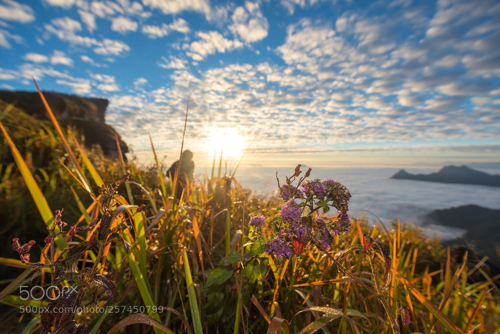 Nikon D810 sample photo. In heaven photography