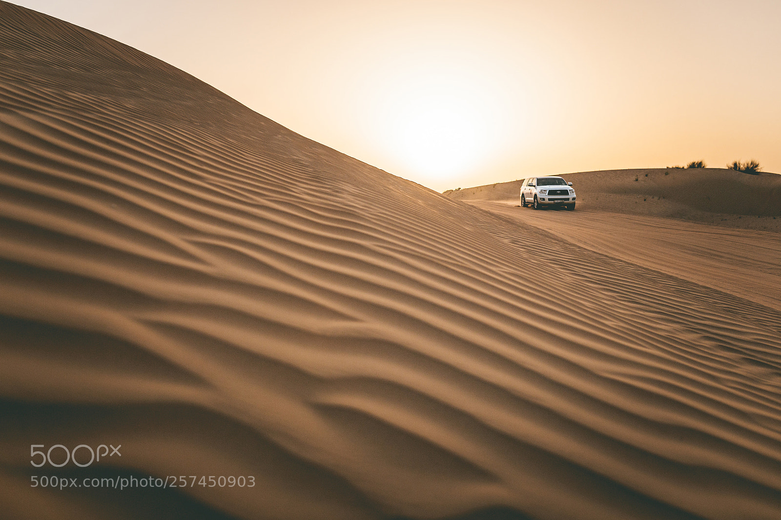 Canon EOS 6D sample photo. Dubai whips photography