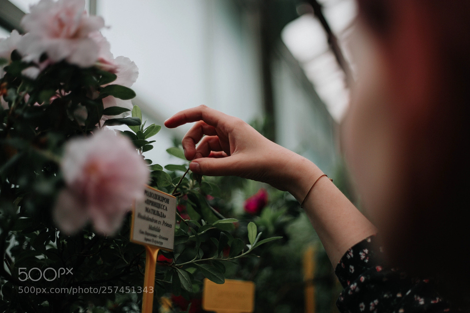 Canon EOS 6D sample photo. Img photography