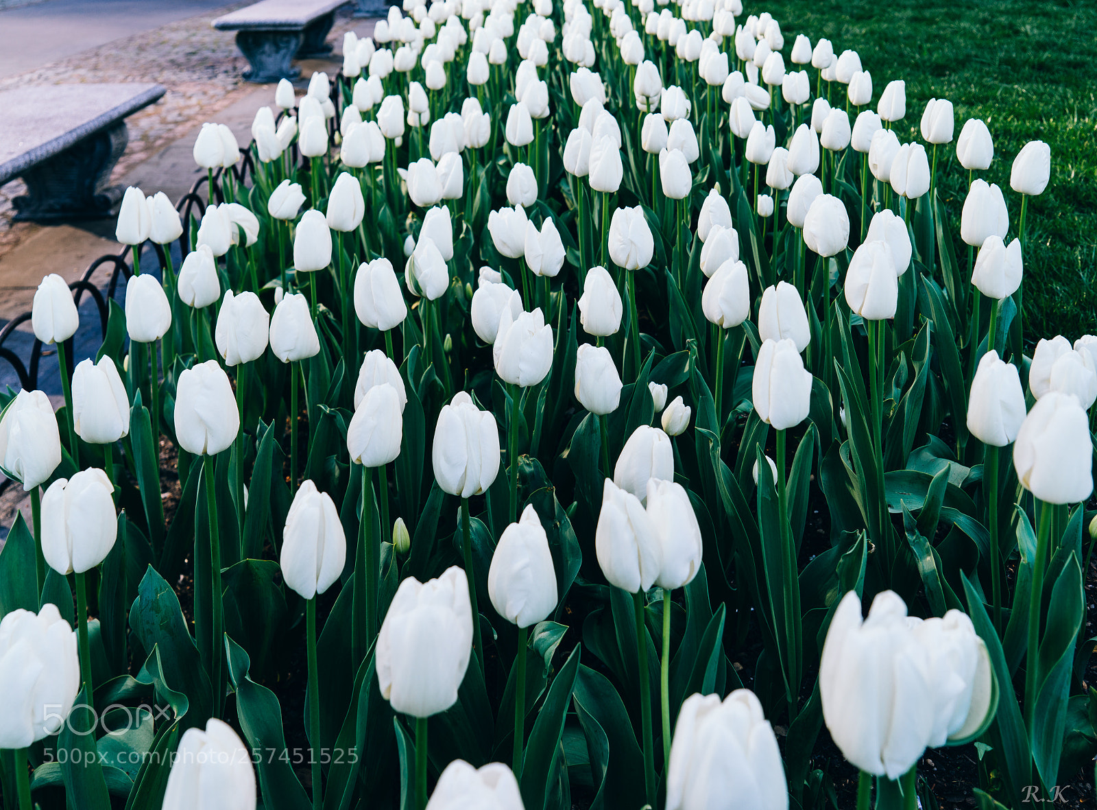 Sony a7R sample photo. Let your day be photography