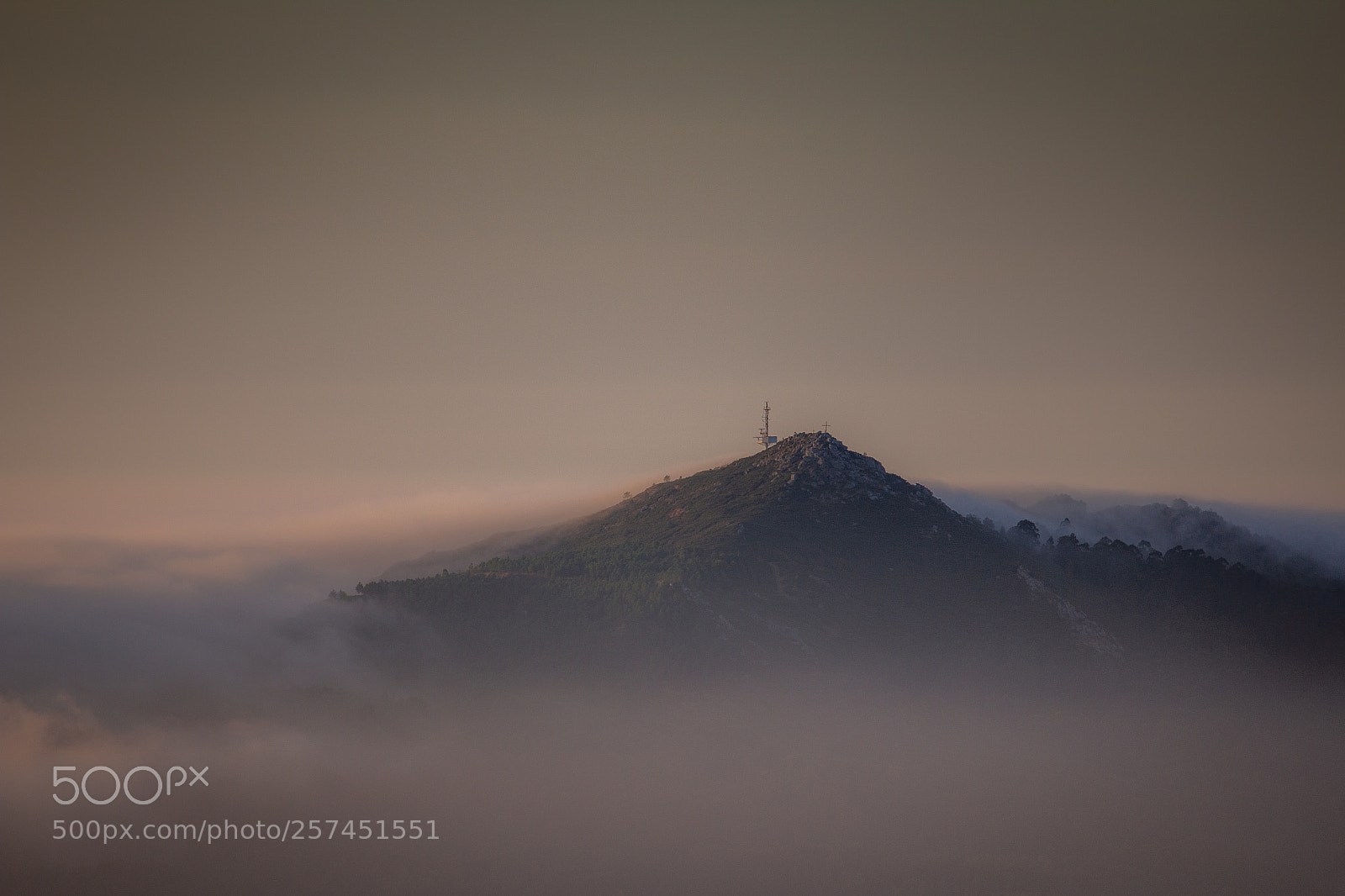 Canon EOS 70D sample photo. Fog photography