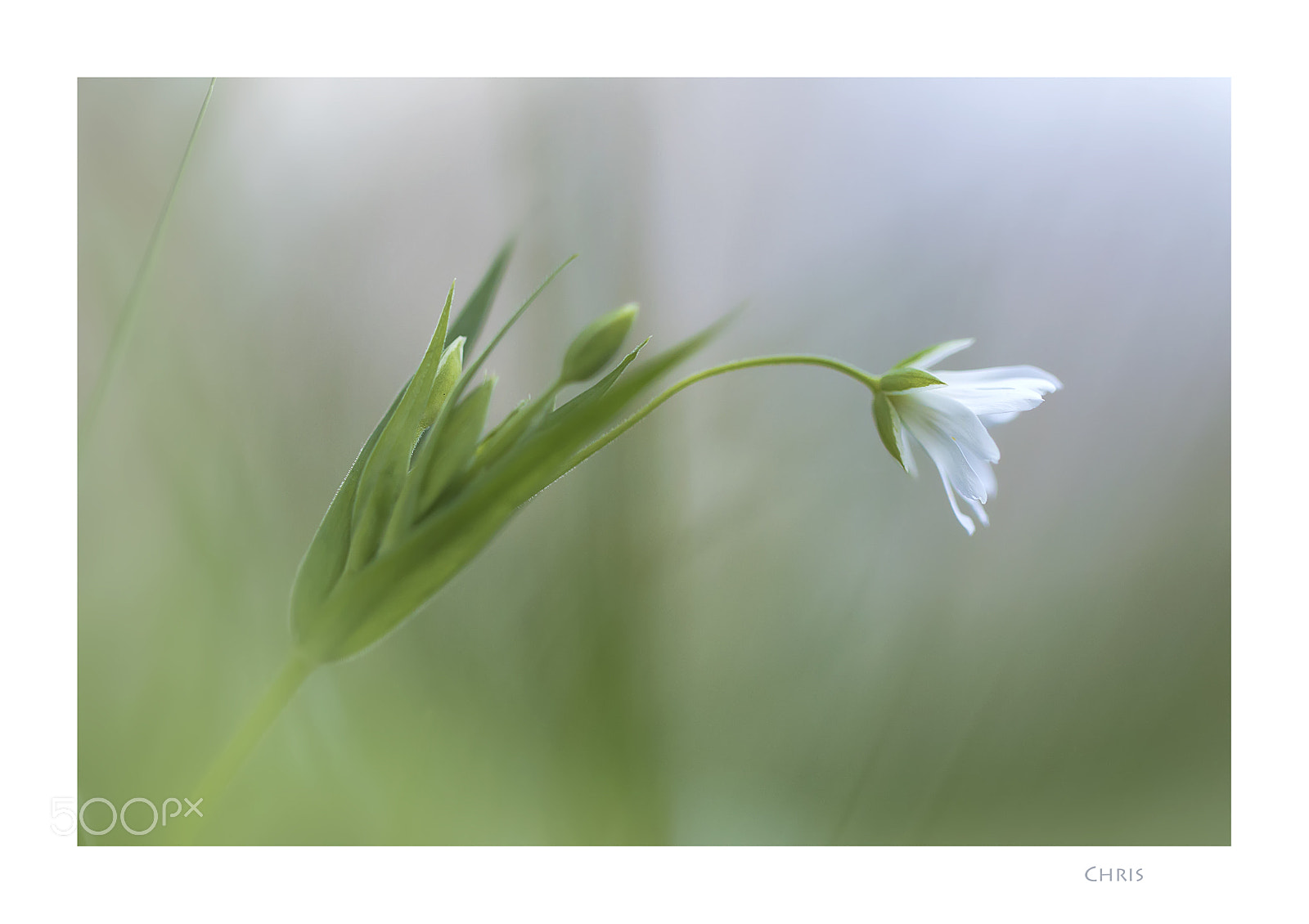 Canon EOS 70D sample photo. 000592.jpg photography