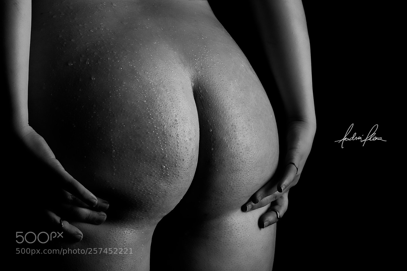 Canon EOS 6D sample photo. Untitled photography