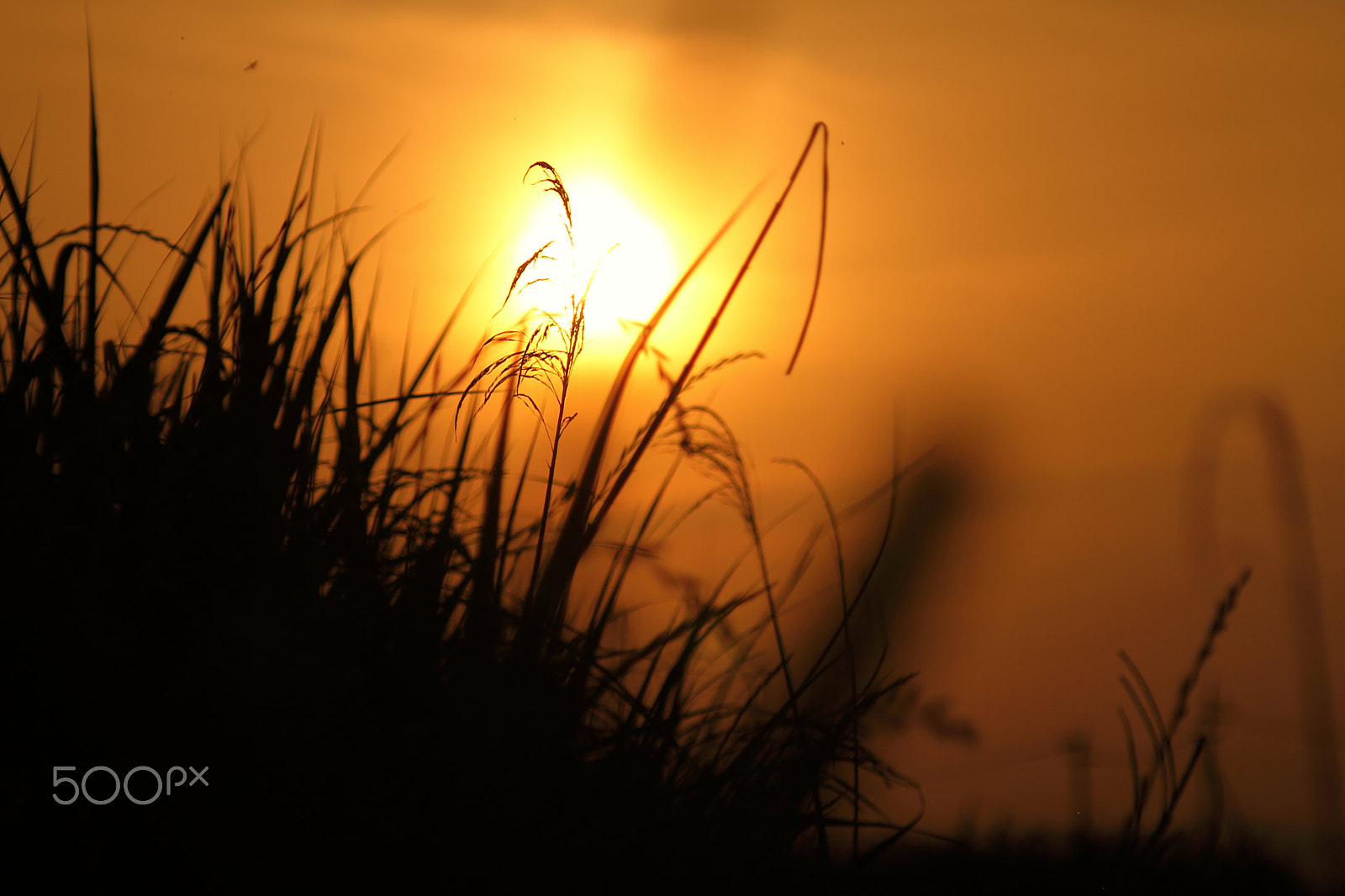 Canon EOS 7D + Canon EF 50mm F1.8 II sample photo. Sundown photography