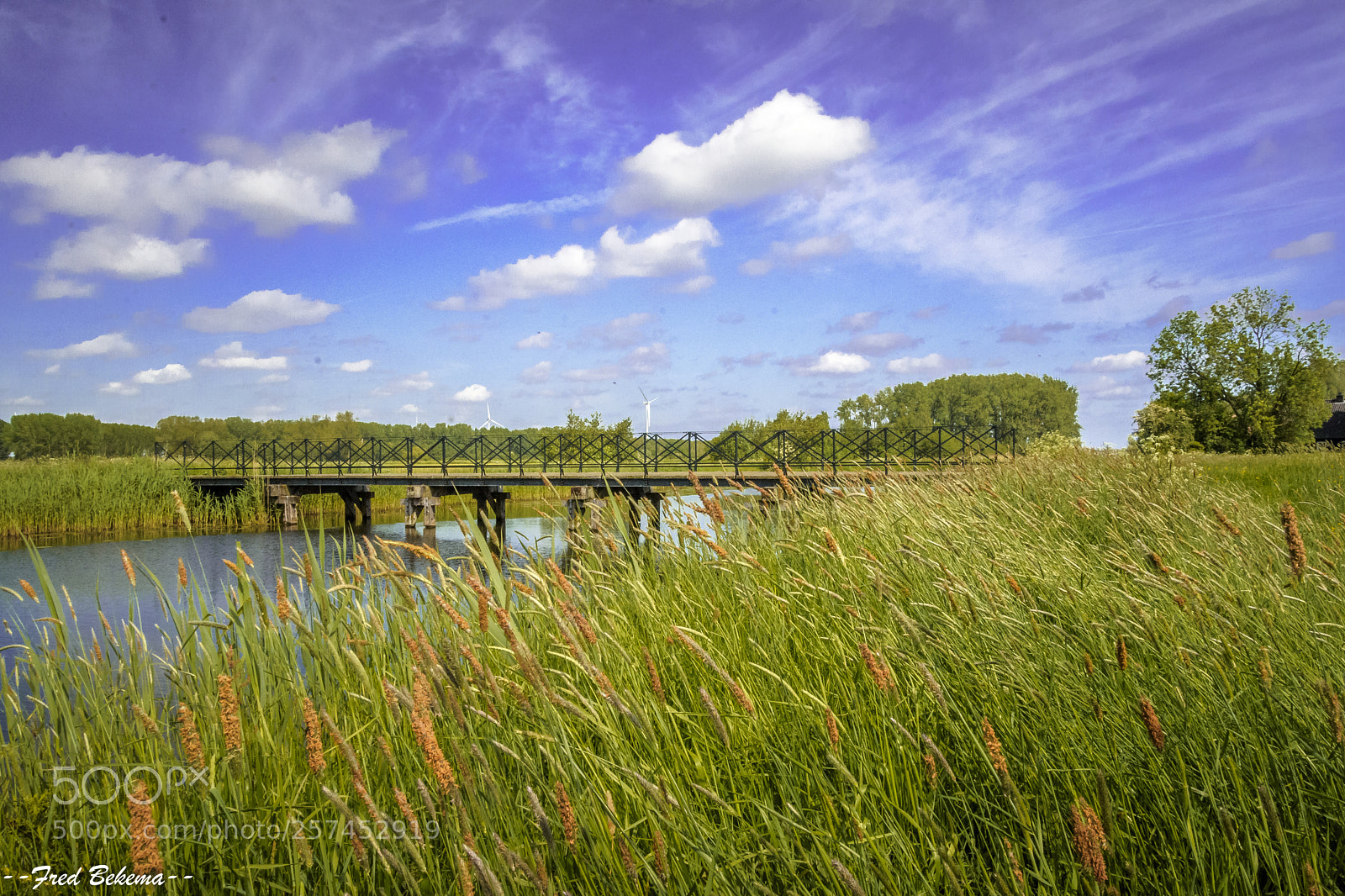 Nikon D7200 sample photo. Bridge @ tull photography
