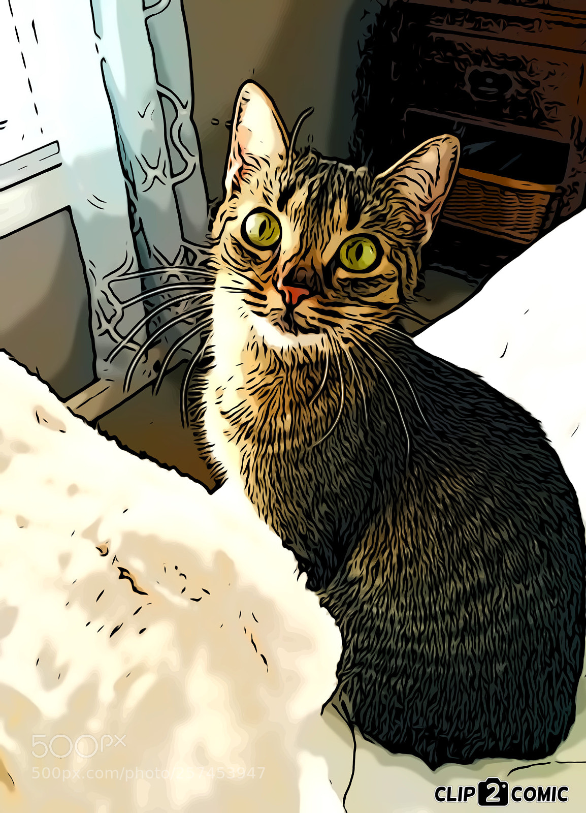Apple iPhone 6s Plus sample photo. Tabby  photography