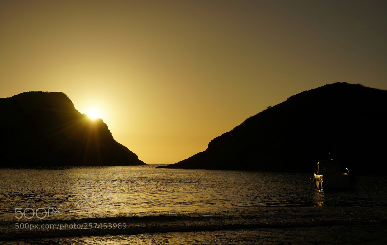 Sony a7 sample photo. Golden glow photography