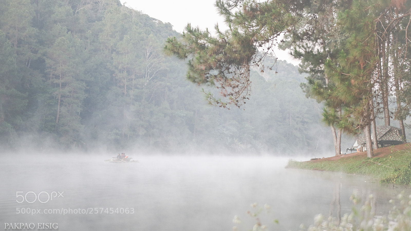 Canon EOS 7D Mark II sample photo. Img photography