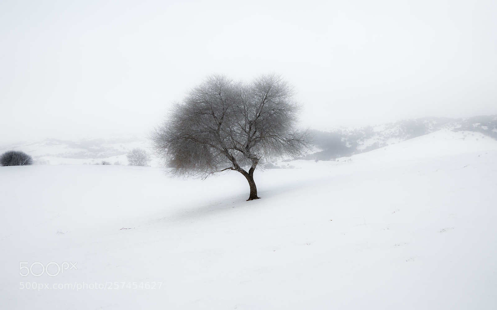 Olympus OM-D E-M10 sample photo. 水墨雪域 8 photography