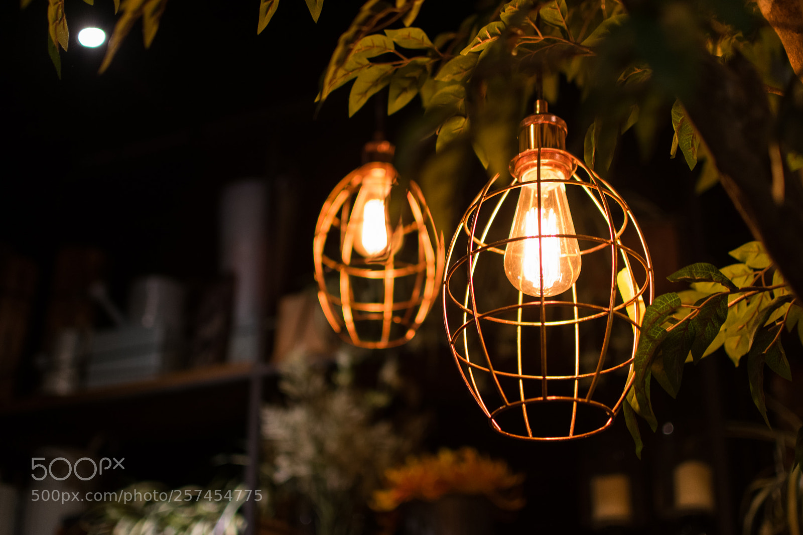 Nikon D3400 sample photo. Shining light photography