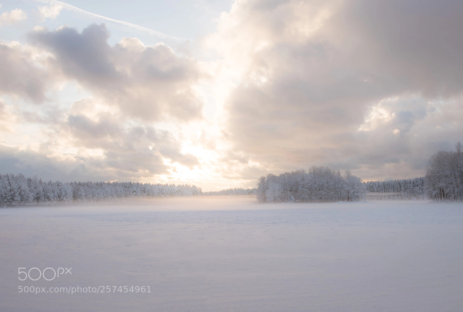 Nikon D750 sample photo. Winter fog photography