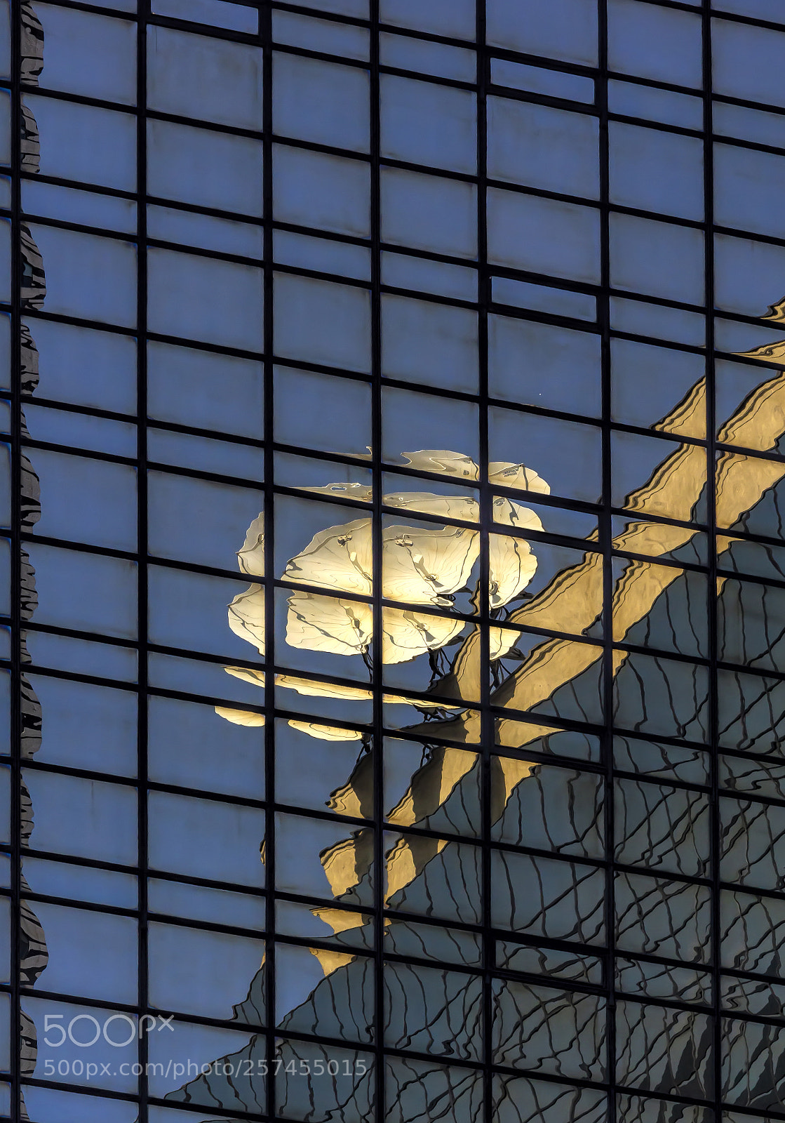 Canon EOS 60D sample photo. Reflective glass architecture photography
